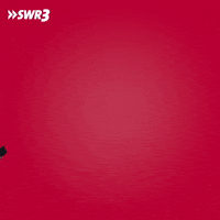 Happy Phone GIF by SWR3