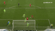 Well Done Good Job GIF by VfL Wolfsburg