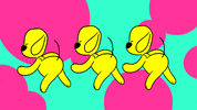 Ziggora dance party dog dancing GIF