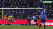 sport goal GIF by Play Sports