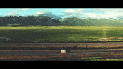 montana GIF