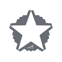Air Force Star Sticker by RampCheckGlobal