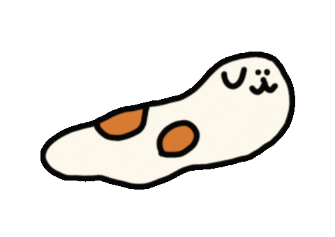 bridge_chiao giphyupload chiaobridge 陳橋 森寫真 Sticker