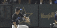 college baseball sport GIF by NCAA Championships