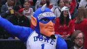 Womens Basketball Sport GIF by NCAA March Madness