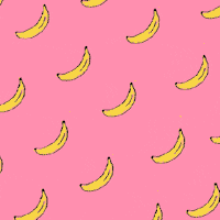 GIF by poppodium Bibelot