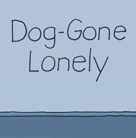 Lonely Dogs GIF by Chippy the Dog