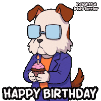 Celebrate Happy Birthday Sticker by VeeFriends