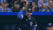Lets Go Baseball GIF by Kansas City Royals