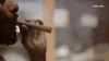 viceland GIF by WEEDIQUETTE