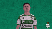 clubsantos  GIF