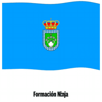 Flag Spain GIF by Formación Ninja