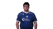 Tsg Hoffenheim Football Sticker by Bundesliga