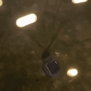 JollyOwls giphyupload GIF