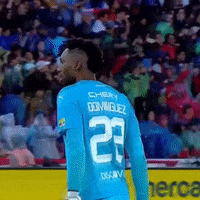 Happy Football GIF by LDU_Oficial