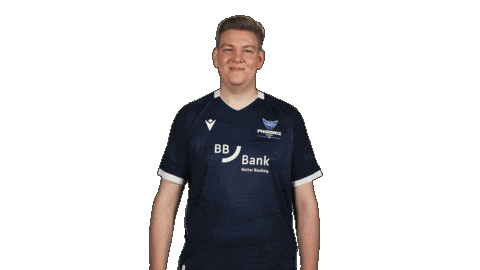 Karlsruher Sc Hello Sticker by Bundesliga