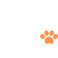 Cat Home Sticker by Walnut Capital