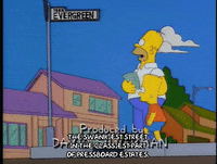 homer simpson episode 13 GIF