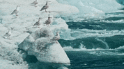 Climate Change GIF