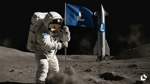To The Moon Wow GIF by LitVM