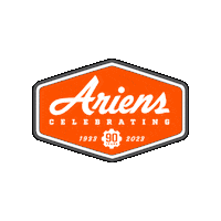 Summer Snow Sticker by Ariens