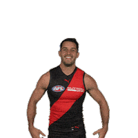 Dons Bombers Sticker by Essendon FC