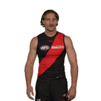 Dons Bombers Sticker by Essendon FC