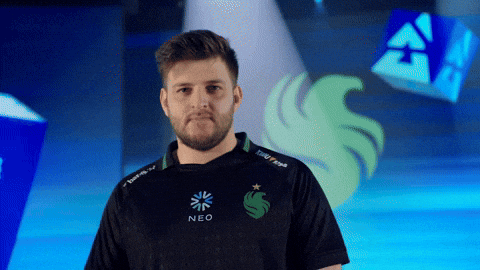 Esports Falcons GIF by BLAST
