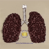 Coffee Lover Inhale GIF by Berk's Beans Coffee