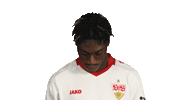 Look Up Vfb Stuttgart Sticker by Bundesliga