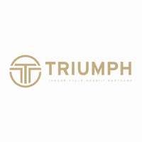 TriumphStudio  GIF