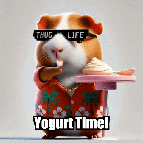 GIF by Guinea Gambino
