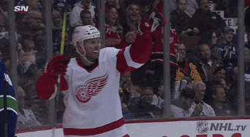 nhl sports hockey nhl ice hockey GIF
