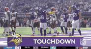Minnesota Vikings Football GIF by NFL