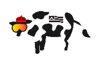 Snowboarding The North Face Sticker by Mount Snow