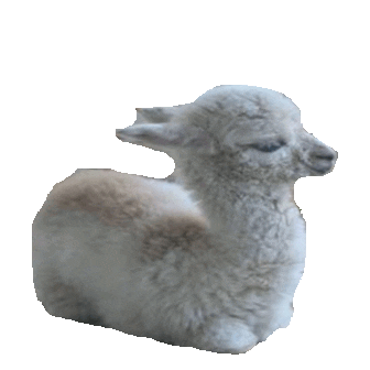 llama STICKER by imoji