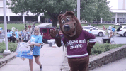 missouristate missouri state missouri state bears missouristate missouri state university GIF