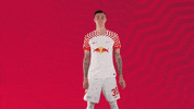 Oh Yeah Yes GIF by RB Leipzig