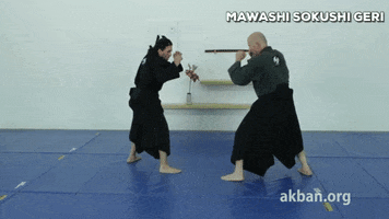 martial arts fight GIF by AKBAN Academy