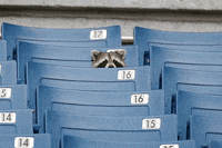 baseball photobomb GIF by SB Nation