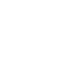 IRRA_studio logo bird fly passaro Sticker