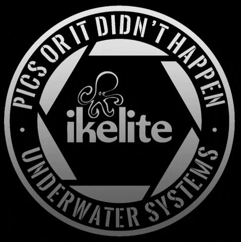 ikelite giphyattribution scuba underwaterphotography ikelite GIF