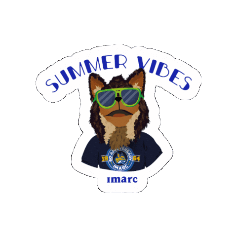 Summer Lynx Sticker by IMARC HERMOSILLO