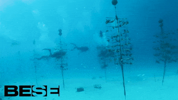 blue planet ocean GIF by BESE