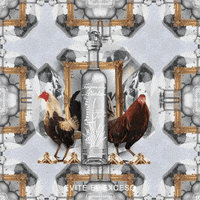 CasaDonRamon gold surreal tequila diamante GIF