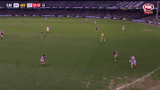 wayne milera afl GIF by Adelaide Crows