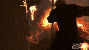 Ghost Story Horror GIF by TrueReal