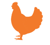 Chicken Poulet Sticker by A PET STORE