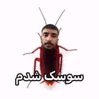 شدمممم GIF