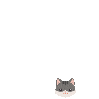 4Gatos Sticker